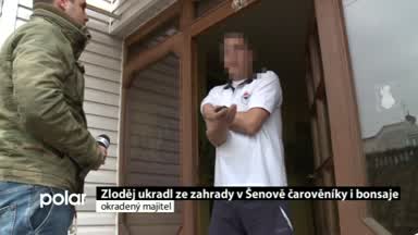 Regionální zprávy POLAR