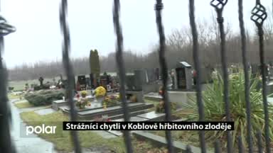Regionální zprávy POLAR