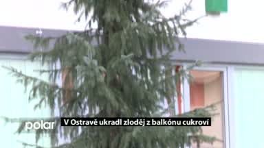 Regionální zprávy POLAR