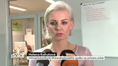 Regionální zprávy POLAR
