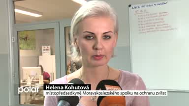 Regionální zprávy POLAR