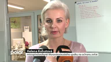 Regionální zprávy POLAR