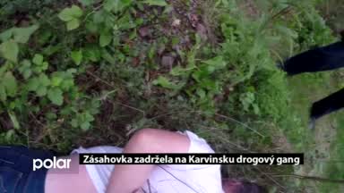 Regionální zprávy POLAR