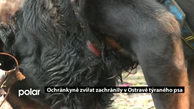 Regionální zprávy POLAR