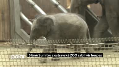 Regionální zprávy POLAR