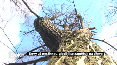 Regionální zprávy POLAR