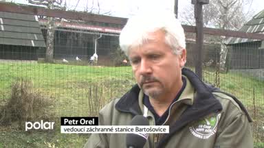 Regionální zprávy POLAR
