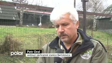 Regionální zprávy POLAR