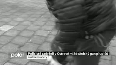 Regionální zprávy POLAR