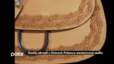 Regionální zprávy POLAR