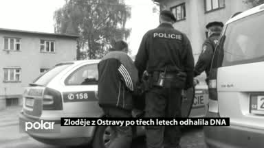 Regionální zprávy POLAR