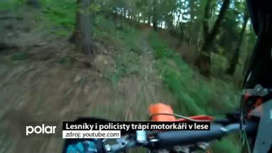 Regionální zprávy POLAR