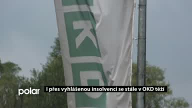 Regionální zprávy POLAR