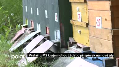 Regionální zprávy POLAR