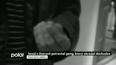 Regionální zprávy POLAR