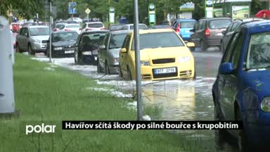 Regionální zprávy POLAR