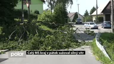 Regionální zprávy POLAR