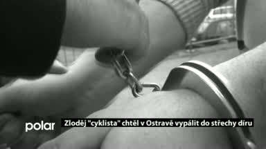 Regionální zprávy POLAR