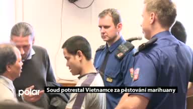 Regionální zprávy POLAR