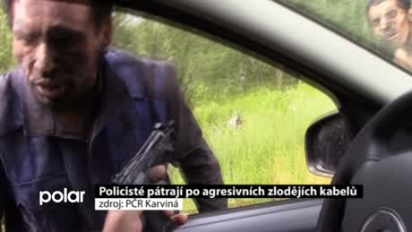 Regionální zprávy POLAR
