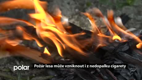 Regionální zprávy POLAR