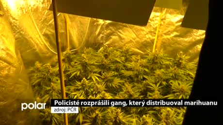 Regionální zprávy POLAR