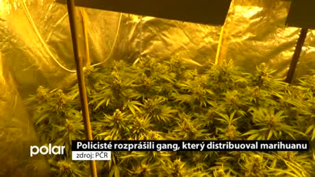 Regionální zprávy POLAR