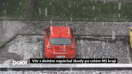 Regionální zprávy POLAR