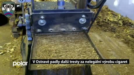 Regionální zprávy POLAR