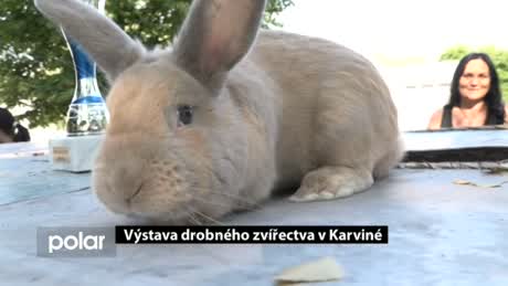 Regionální zprávy POLAR