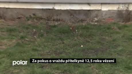 Regionální zprávy POLAR