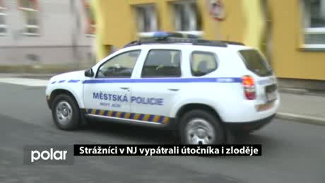 Regionální zprávy POLAR