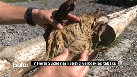 Regionální zprávy POLAR