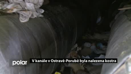 Regionální zprávy POLAR