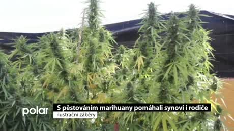 Regionální zprávy POLAR