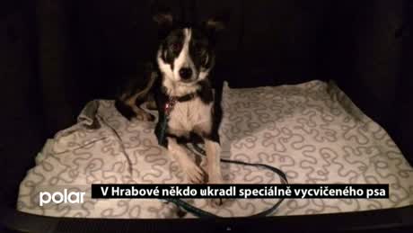 Regionální zprávy POLAR