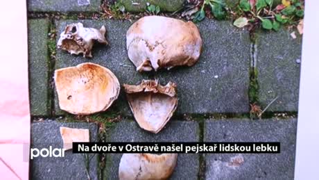 Regionální zprávy POLAR