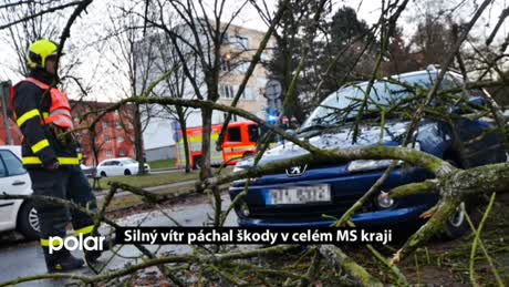 Regionální zprávy POLAR