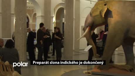 Regionální zprávy POLAR