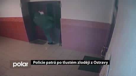 Regionální zprávy POLAR
