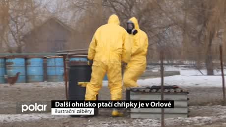 Regionální zprávy POLAR