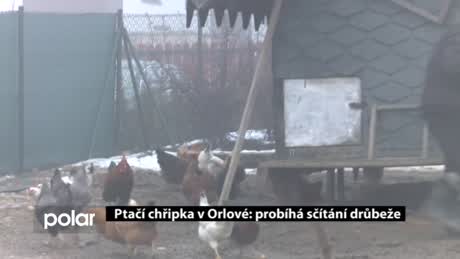Regionální zprávy POLAR