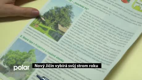Regionální zprávy POLAR