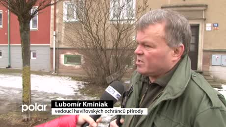 Regionální zprávy POLAR