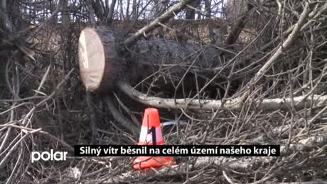 Regionální zprávy POLAR