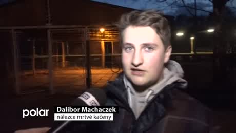 Regionální zprávy POLAR
