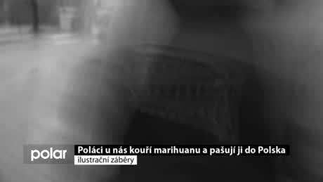 Regionální zprávy POLAR