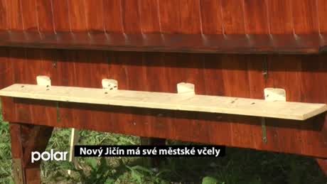 Regionální zprávy POLAR