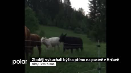 Regionální zprávy POLAR
