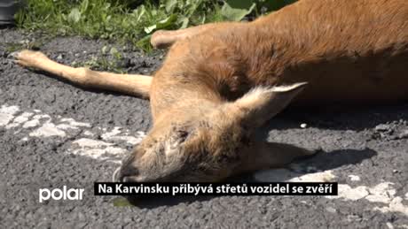 Regionální zprávy POLAR